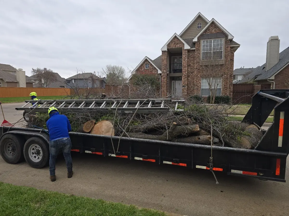 Expert Crown Reduction with proper safety equipment in Ludowici